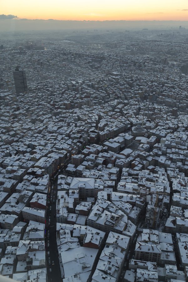 Quels sont les effets de l'urbanisation sur l'environnement ?