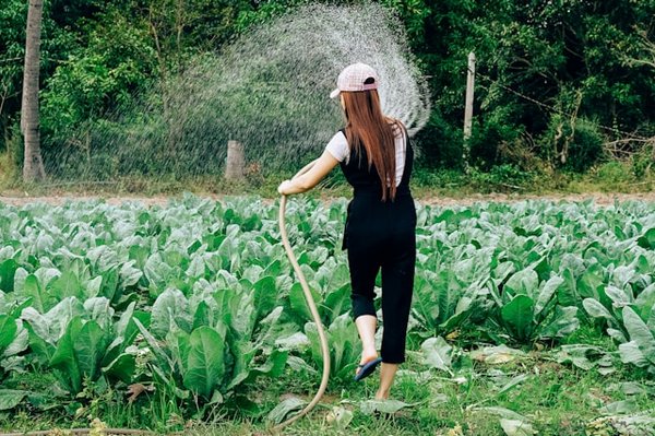 Comment mettre en œuvre des pratiques d'agriculture urbaine dans les zones désindustrialisées ?