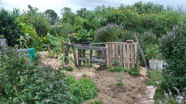 Comment intégrer des pratiques de permaculture dans l'aménagement des espaces publics ?